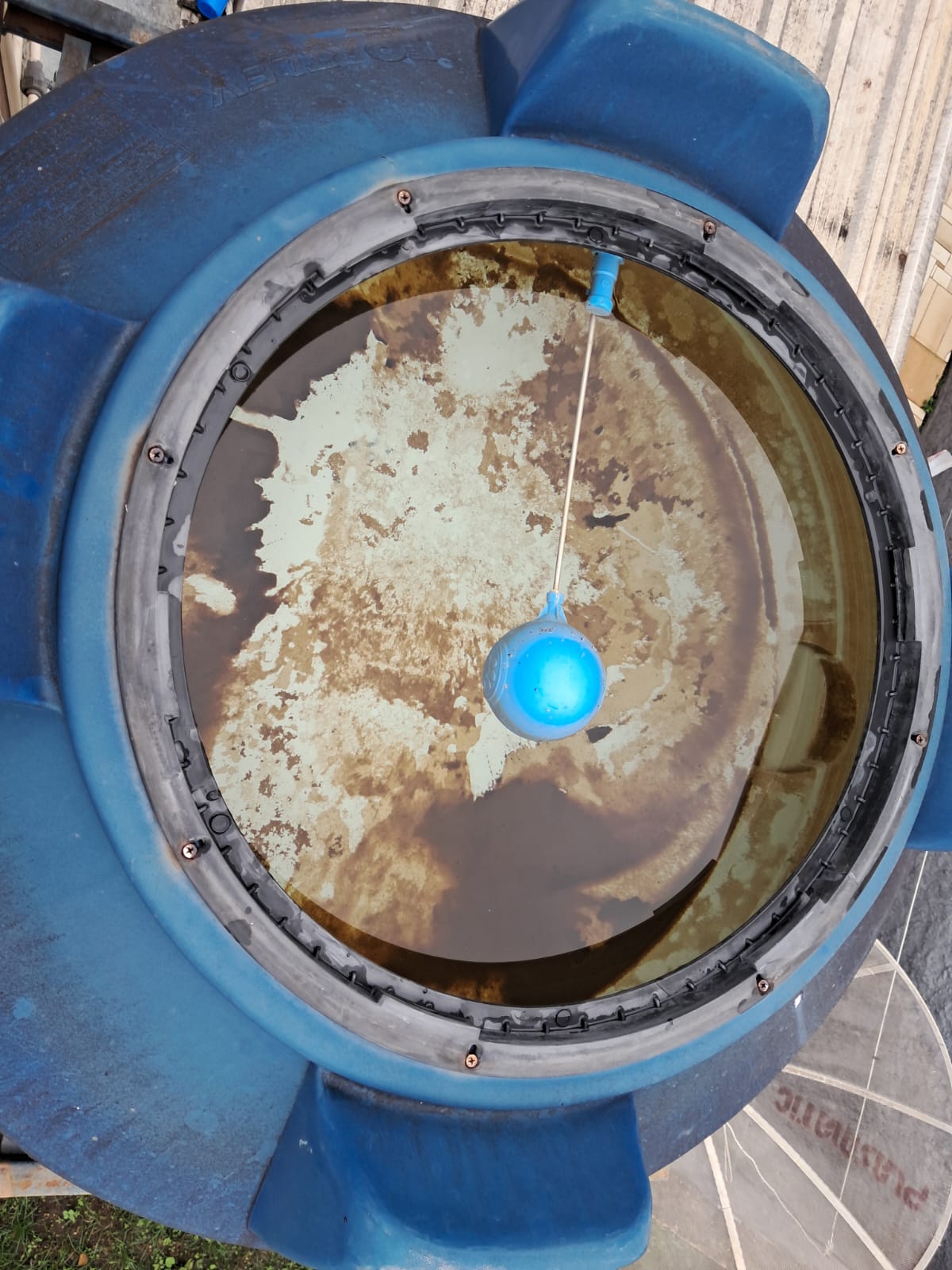 WhatsApp Image 2025-01-03 at 12.11.19.jpeg