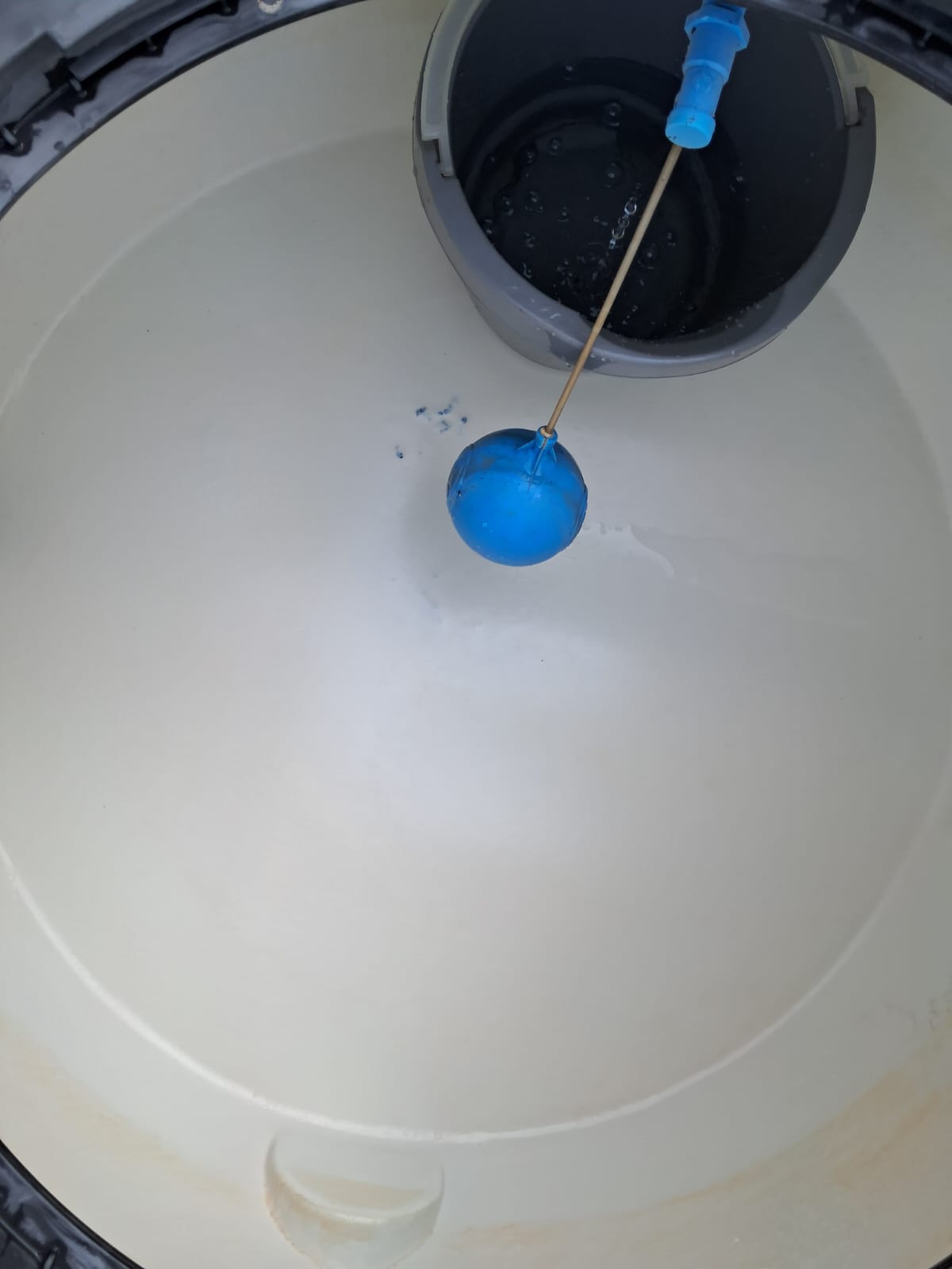 WhatsApp Image 2025-01-03 at 12.11.19 (1).jpeg