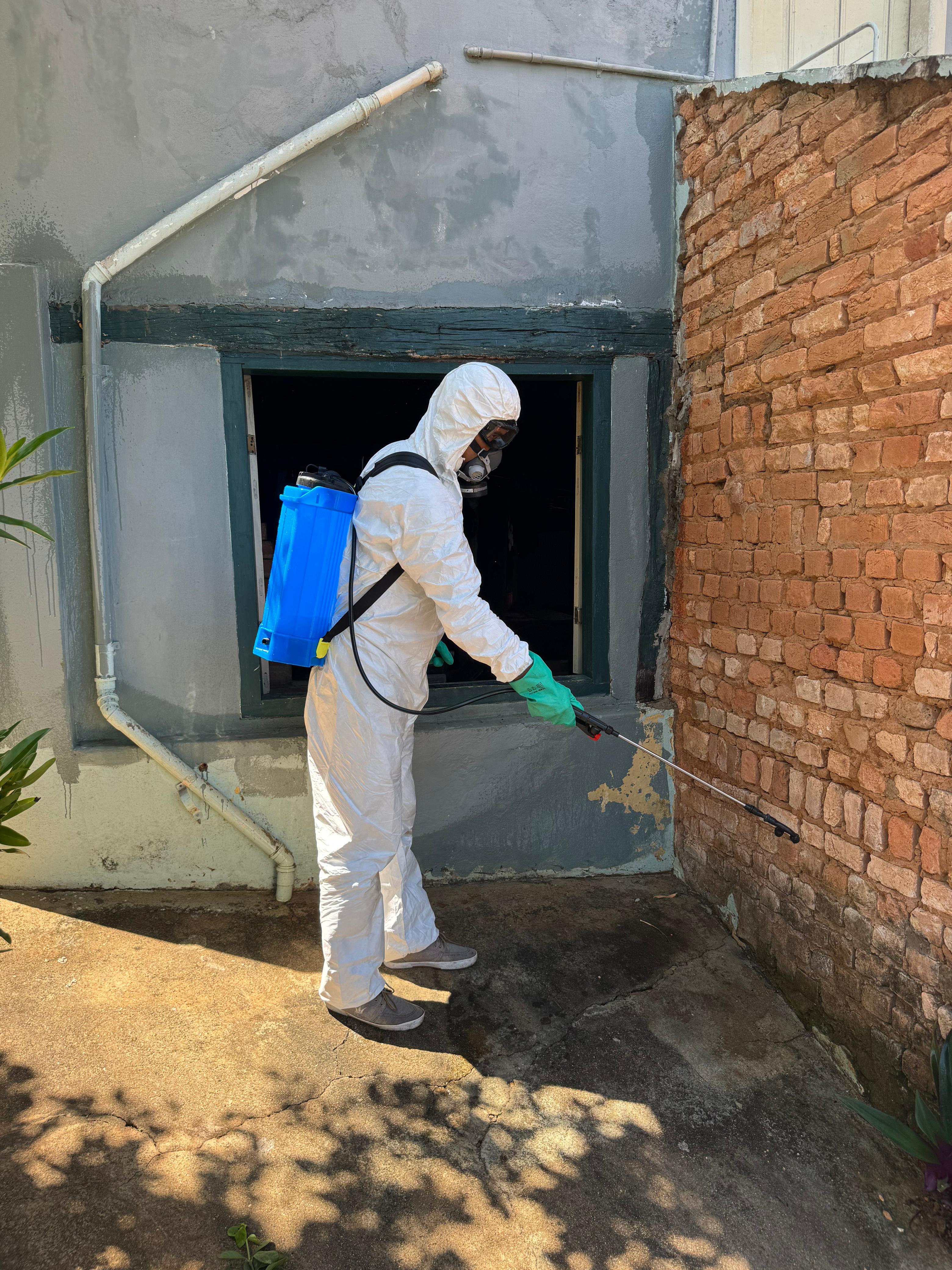 WhatsApp Image 2025-01-03 at 12.08.10 (1).jpeg